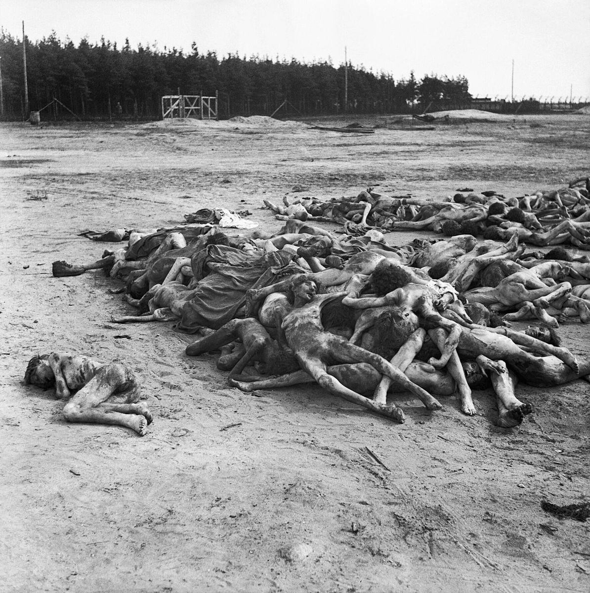 1194px-The_Liberation_of_Bergen-belsen_Concentration_Camp,_April_1945_BU3774.jpg