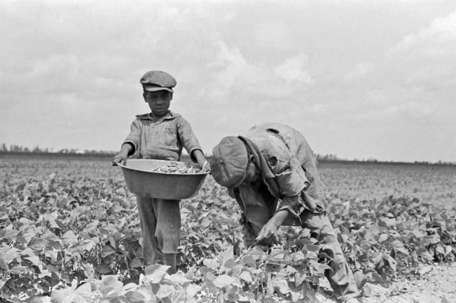 kids working in the field.jpg