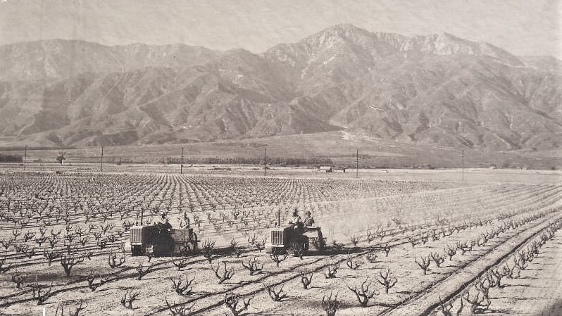 cucamonga-valley-vineyard-2-d2s.jpeg