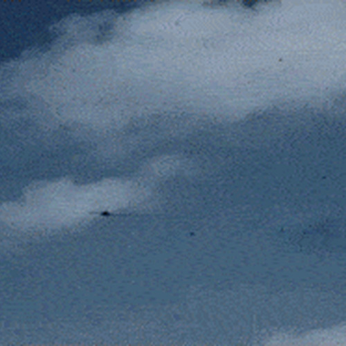 Kamikaze_WW2_USN-ezgif.com-optimize.gif