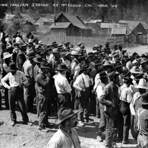 McCloud strike protestors.jpeg