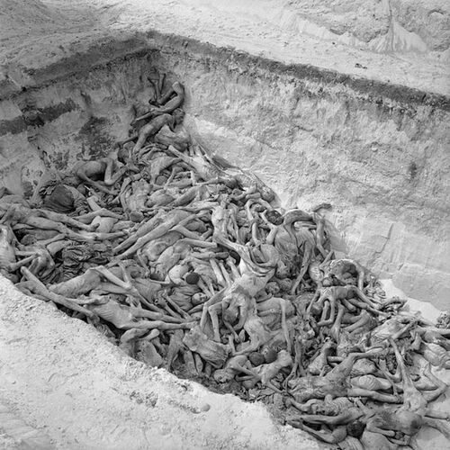 640px-The_Liberation_of_Bergen-belsen_Concentration_Camp,_April_1945_BU3777.jpg