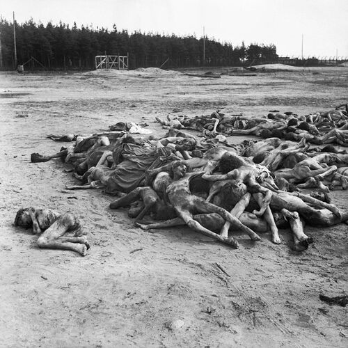 1194px-The_Liberation_of_Bergen-belsen_Concentration_Camp,_April_1945_BU3774.jpg
