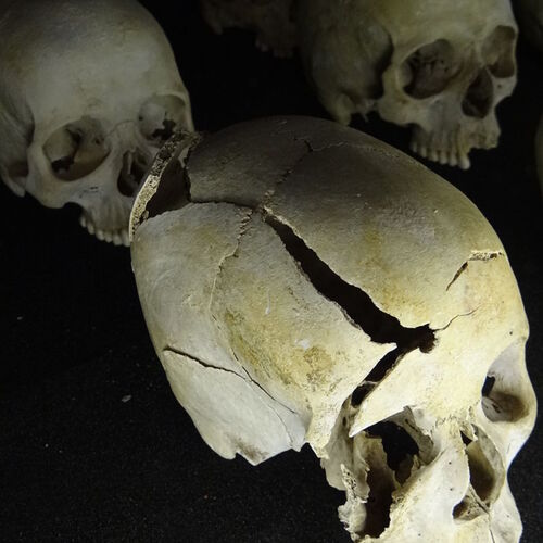 900px-Skulls_of_Genocide_Victims_-_Genocide_Memorial_Center_-_Kigali_-_Rwanda_-_01.jpg