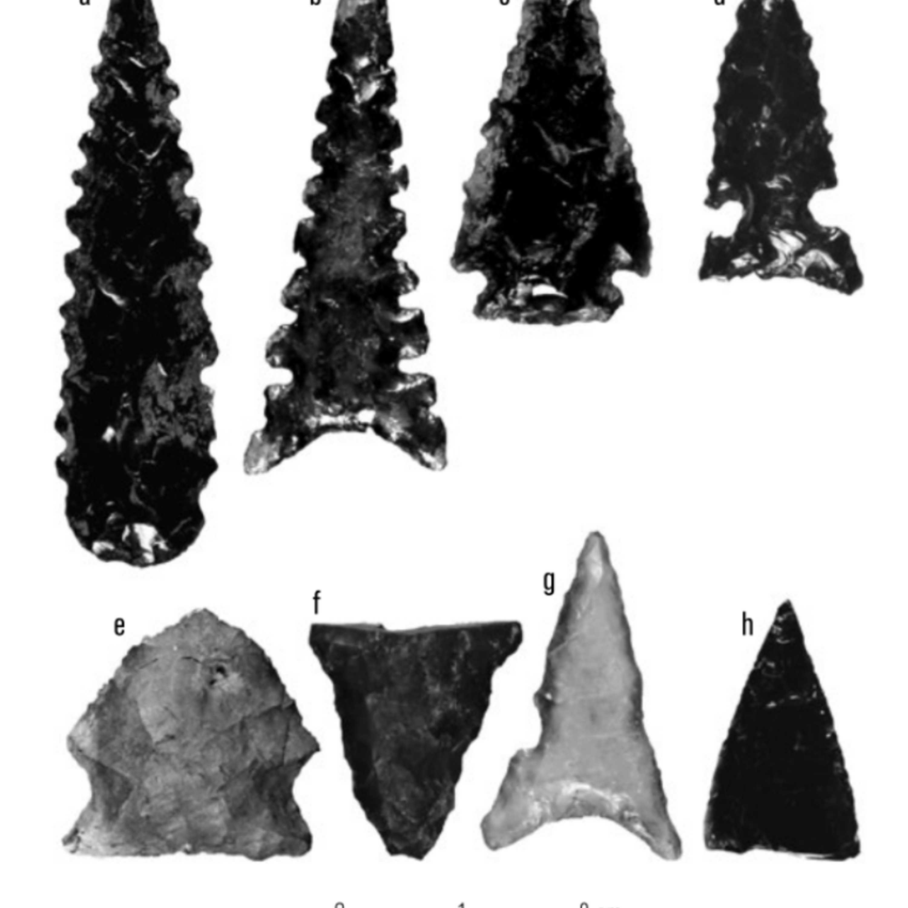 Peelo Flaked Stone Tools.png