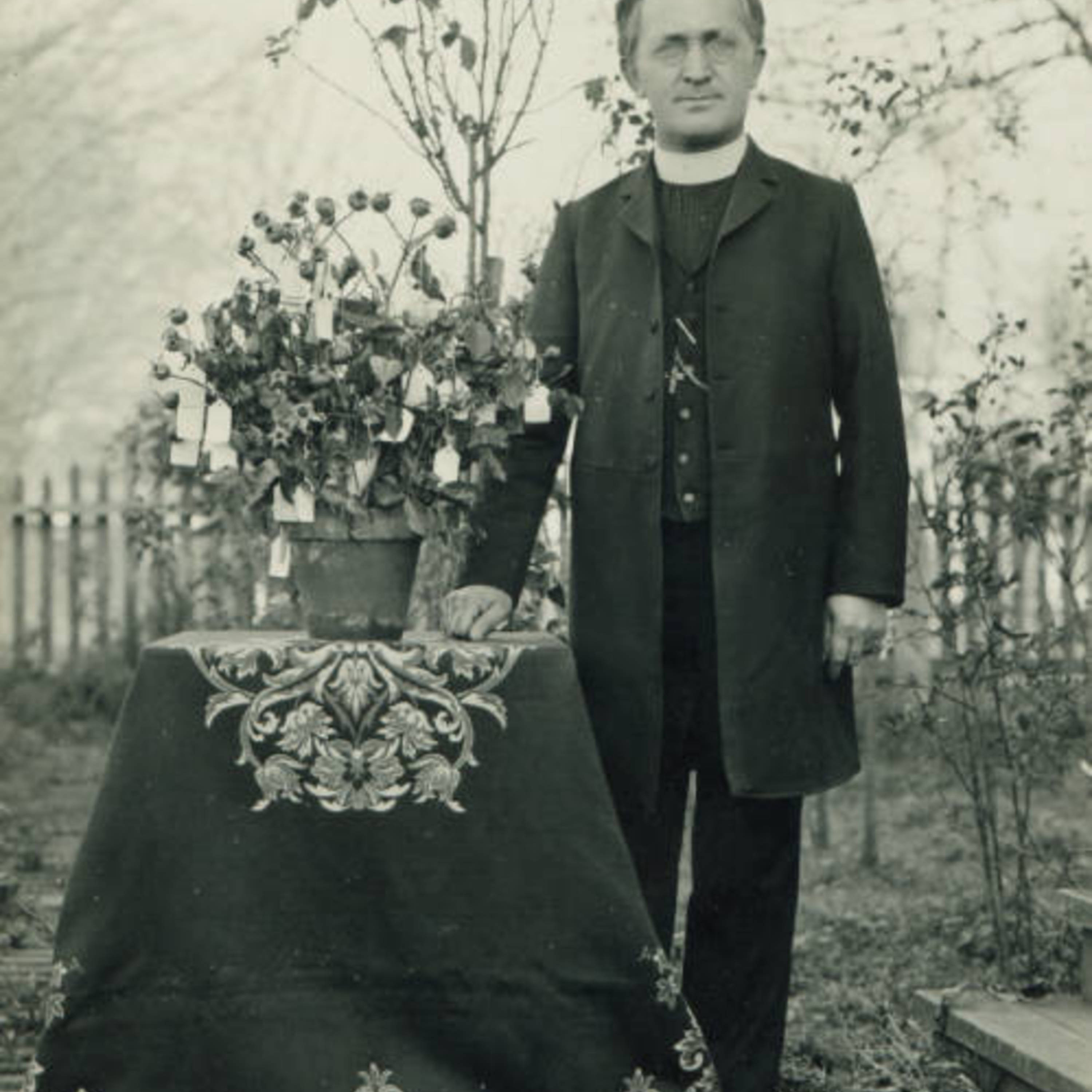 Father Schoener and Hybridized roses