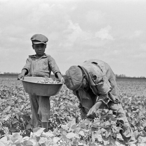 kids working in the field.jpg