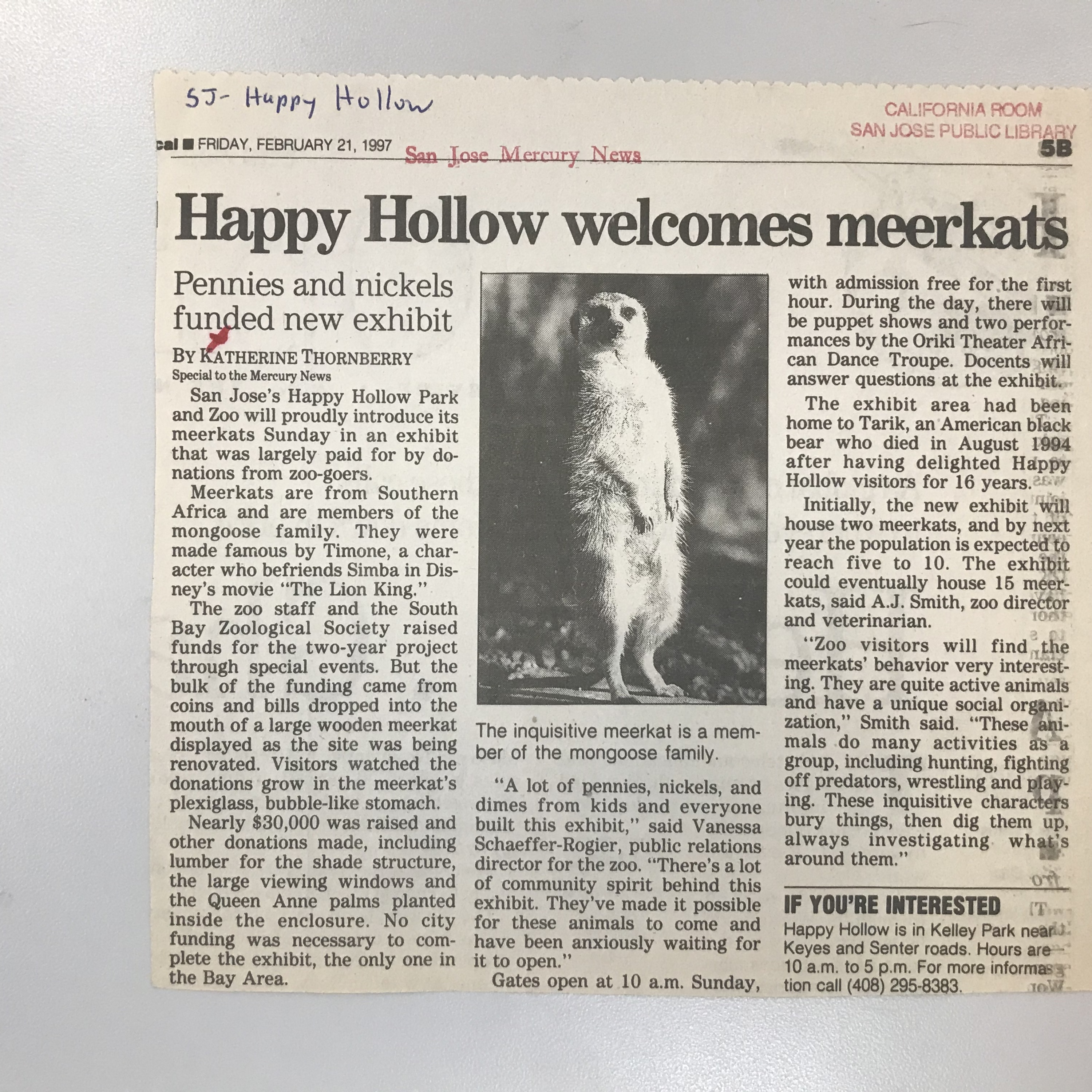 &quot;Happy Hollow welcomes meerkats&quot; Article