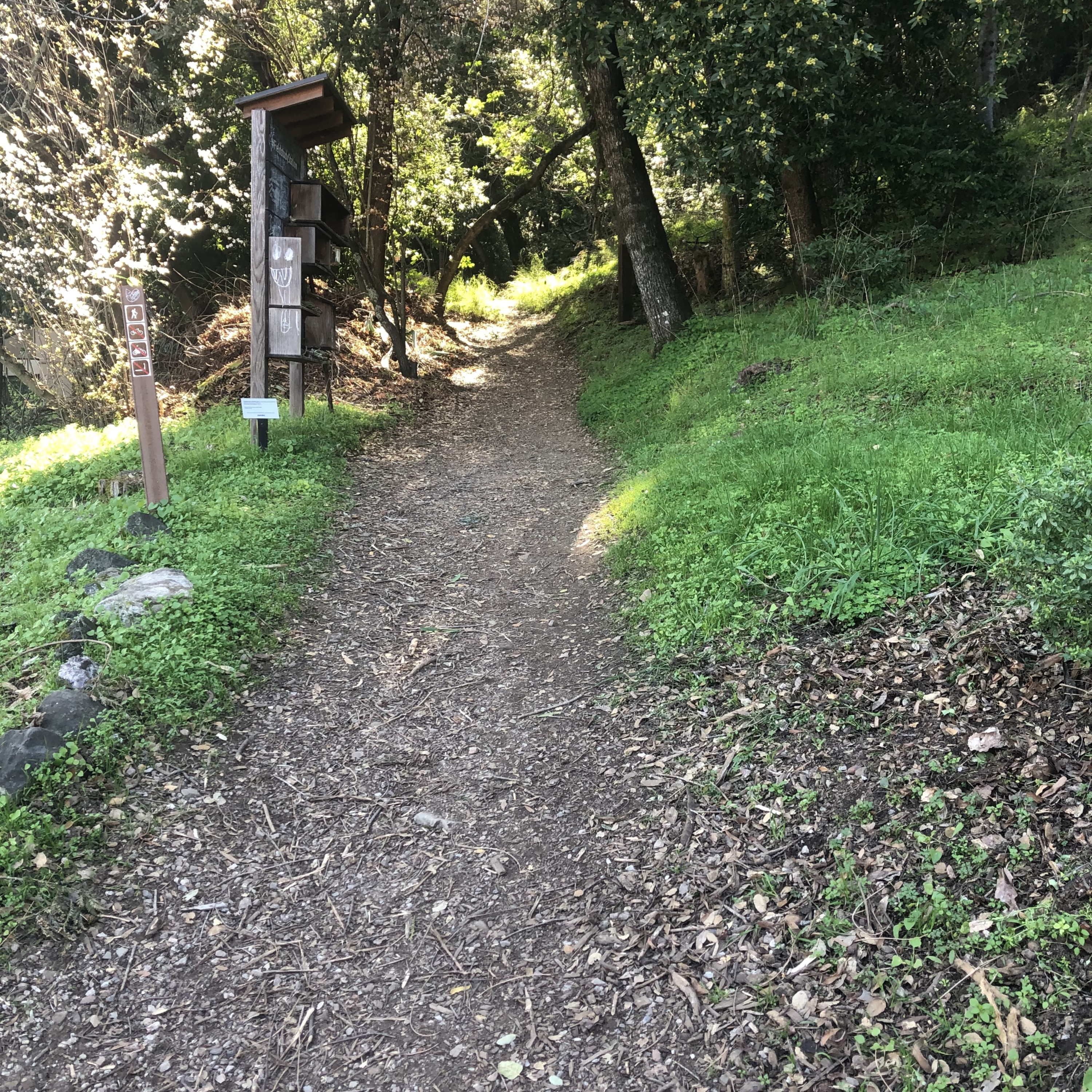 Trail at Villa Montalvo